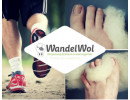 Wandelwol